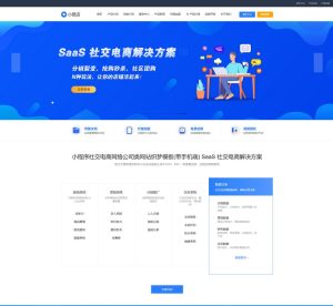 社交电商类网络产品 互联网公司企业官 网络设计公司网站模板+手机移动端